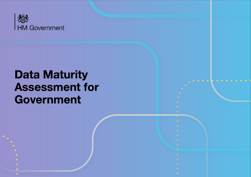Report cover - stating Data Maturity Assessment for government on a purple/blue background with HM Government logo